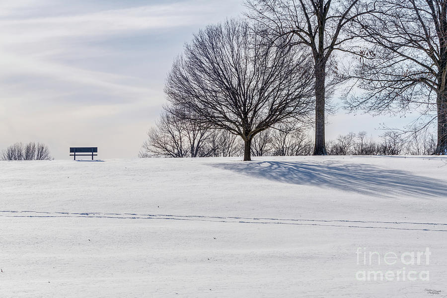 Bench On Snow Covered Hill Photograph by Jennifer White