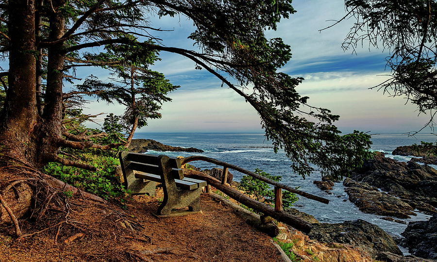 Bench on the cliff over the seashore  Photograph by Alex Lyubar