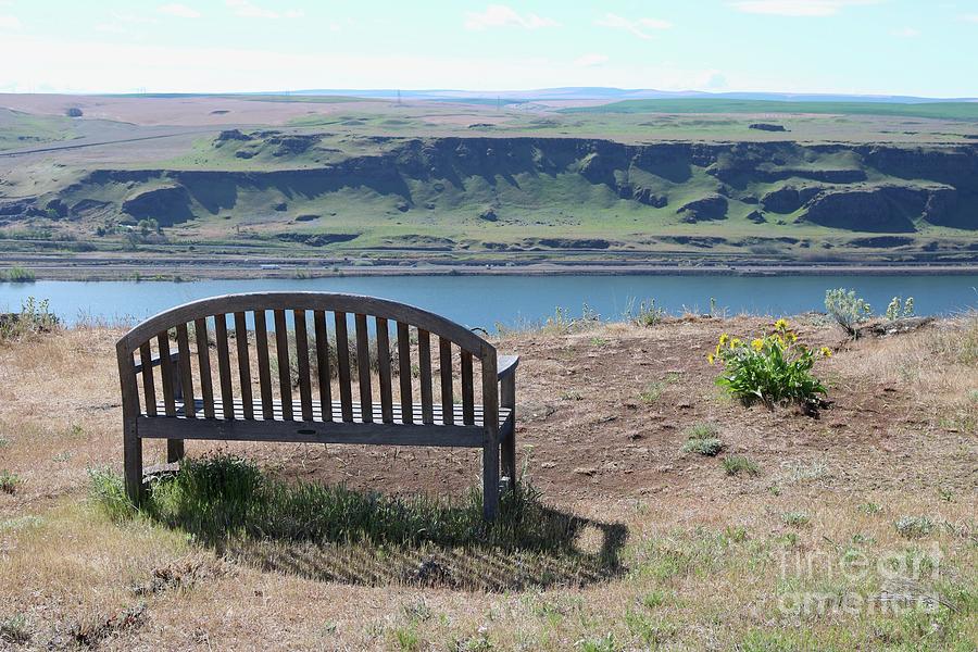 Bench Overlooking the Columbia  Photograph by Carol Groenen