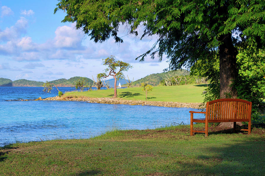 Bench with a Caribbean View Photograph by Matthew DeGrushe