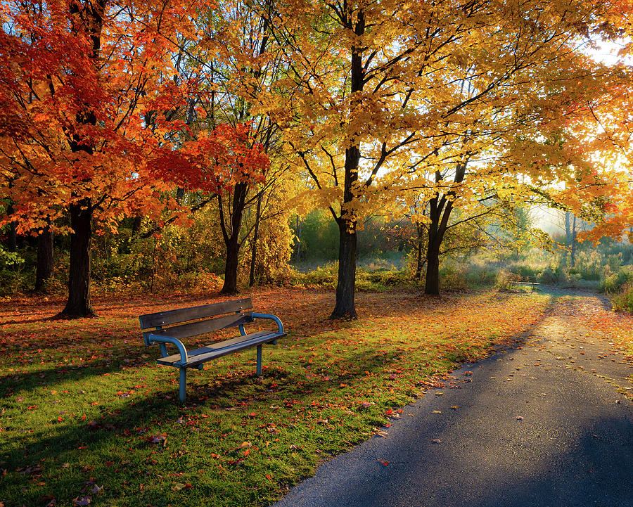 Fall Photograph - Bench with a View by Jean Armstrong