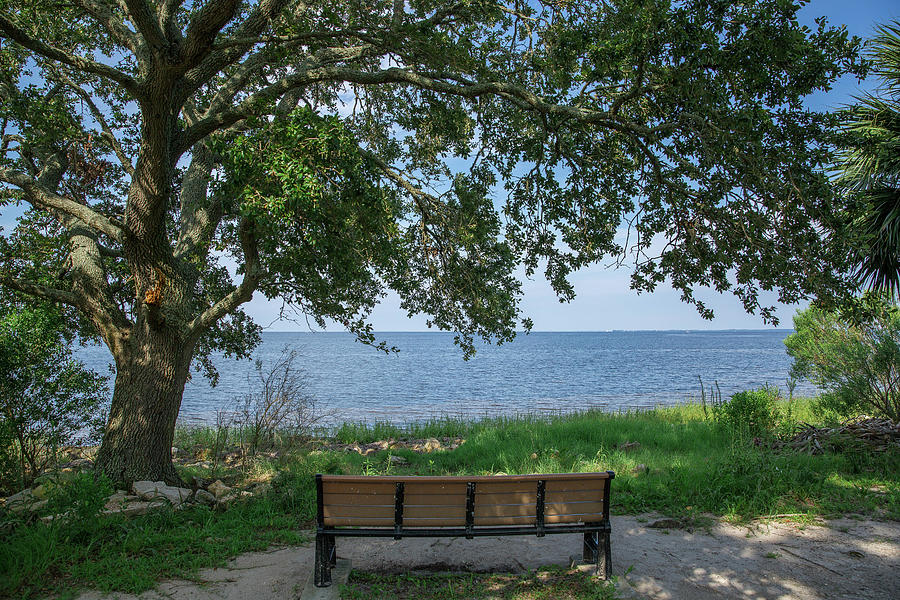Bench with a view Photograph by Jessica Brown