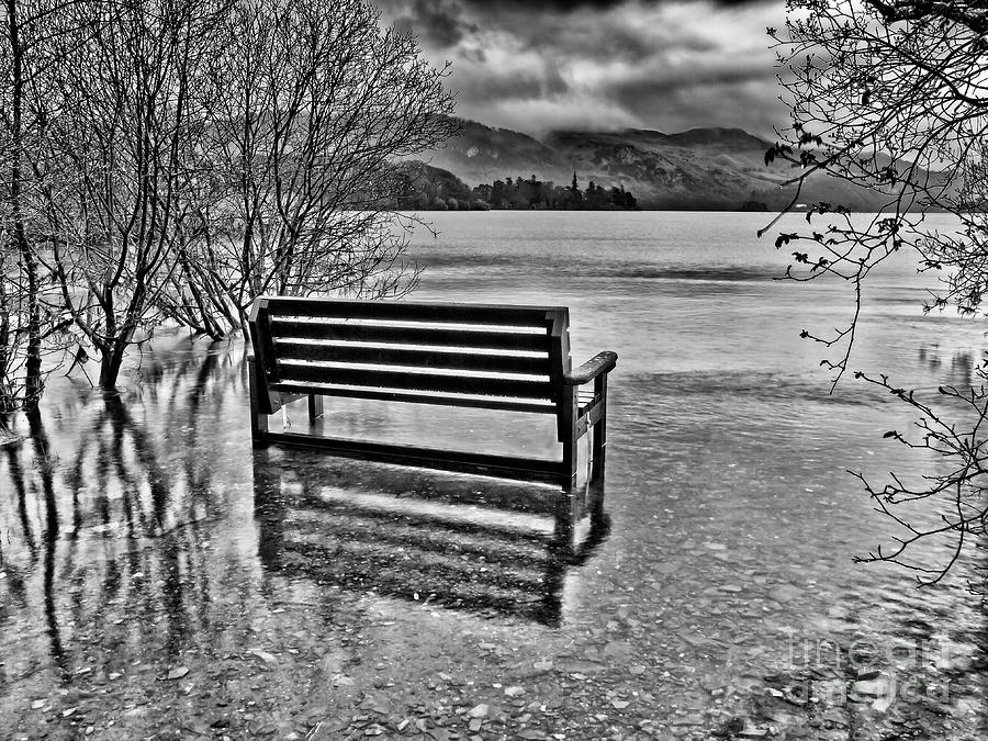 Bench With A View Photograph by Tatiana Bogracheva