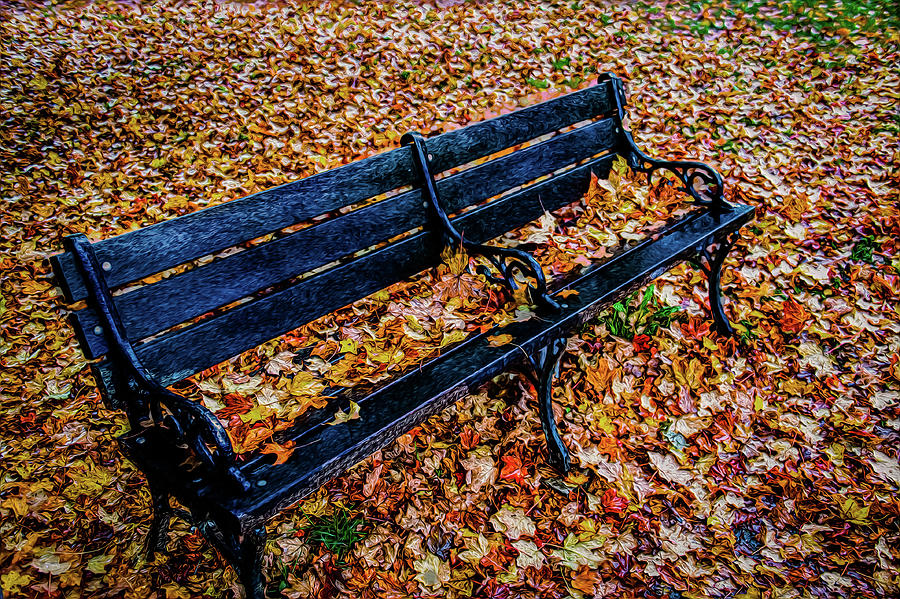 Bench with Fall Leaves Photograph by Bill Howard