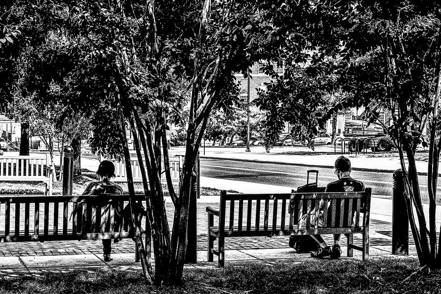Benches Photograph by Addison Likins