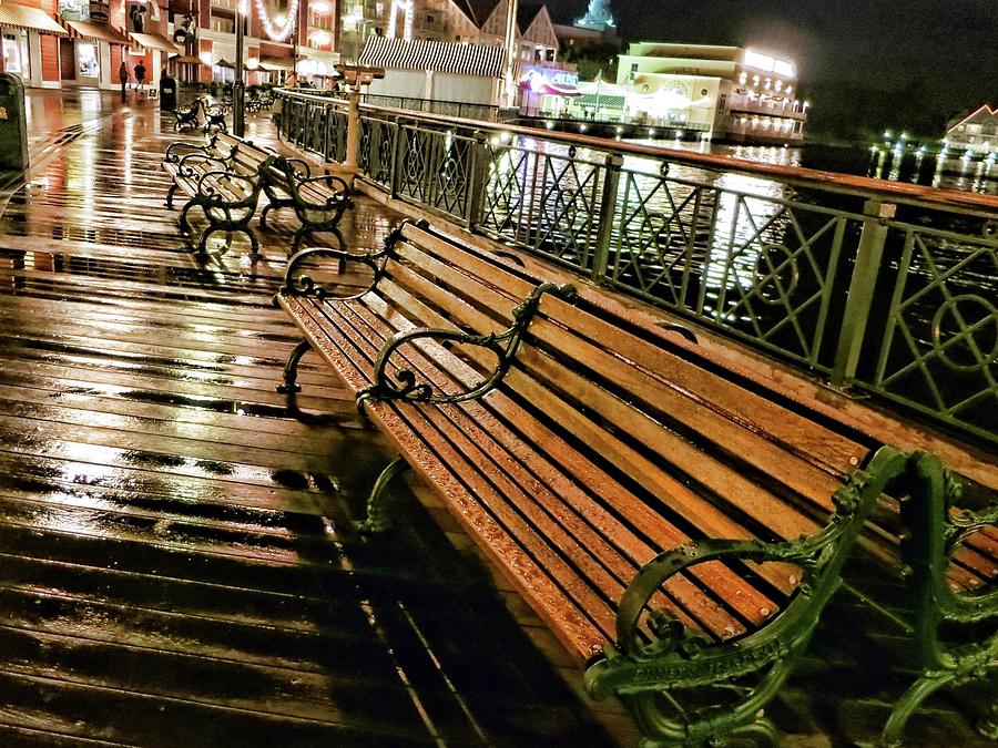 Benches in the rain Photograph by Nora Martinez