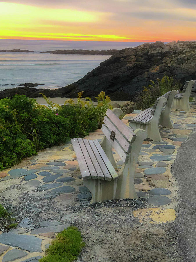 Benches Overlooking the Ocean #3 Photograph by Lorraine Palumbo