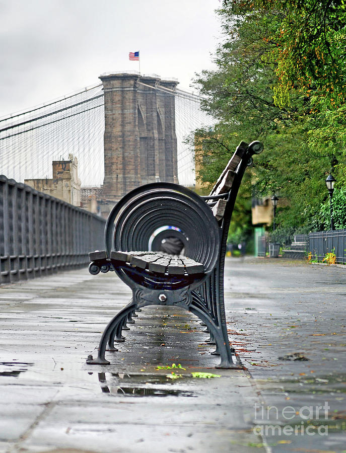 Benchs Circles At New York Citys Brooklyn Heights - Color Version Photograph