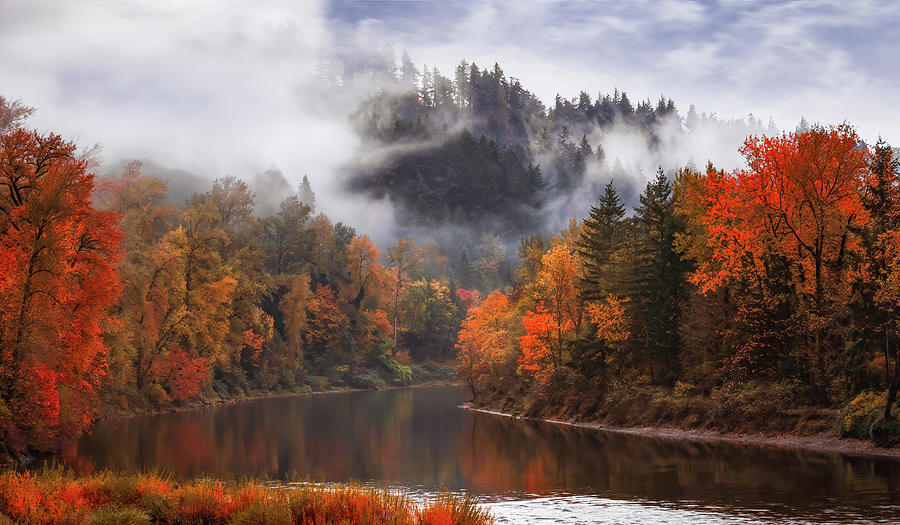Bend in the River Photograph by Don Schwartz