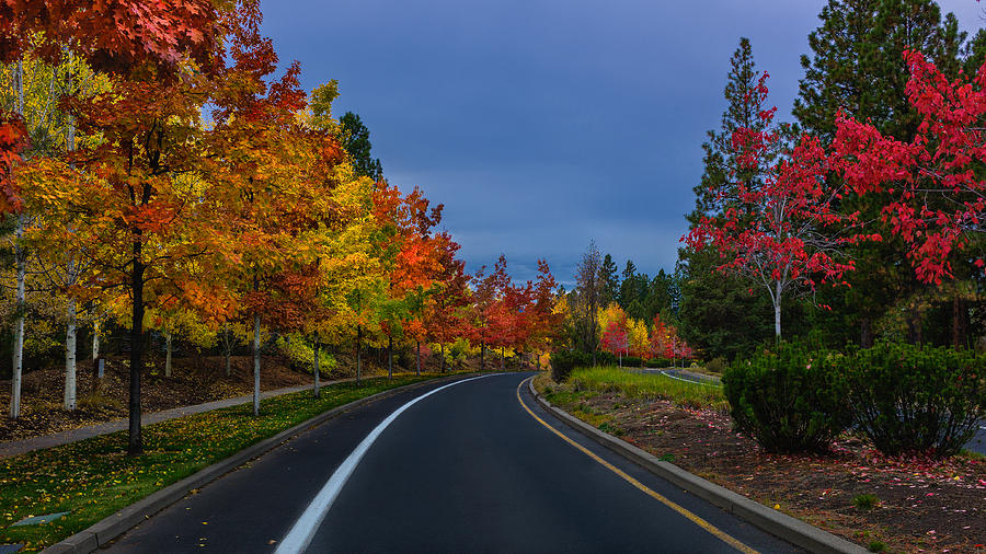 Bend Oregon Autumn Photograph by Glen Thuncher Pixels