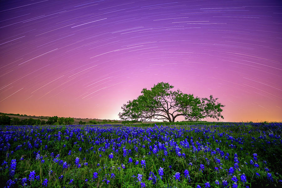 Beneath a Texas Sky Photograph by KC Hulsman