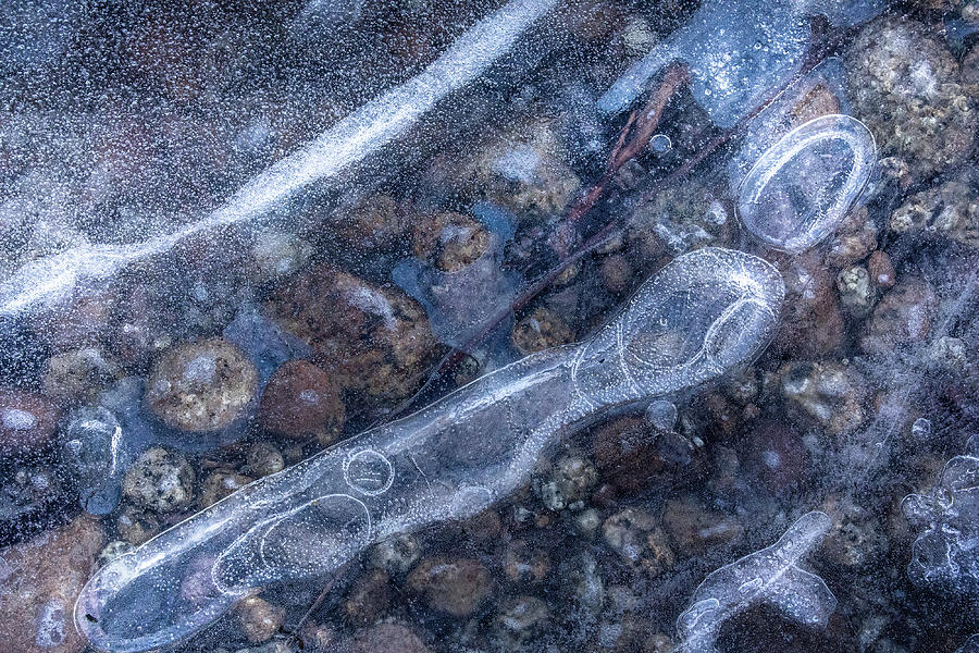 Background Photograph - Beneath by Paul Malen Background Photograph - Beneath by Paul Malen