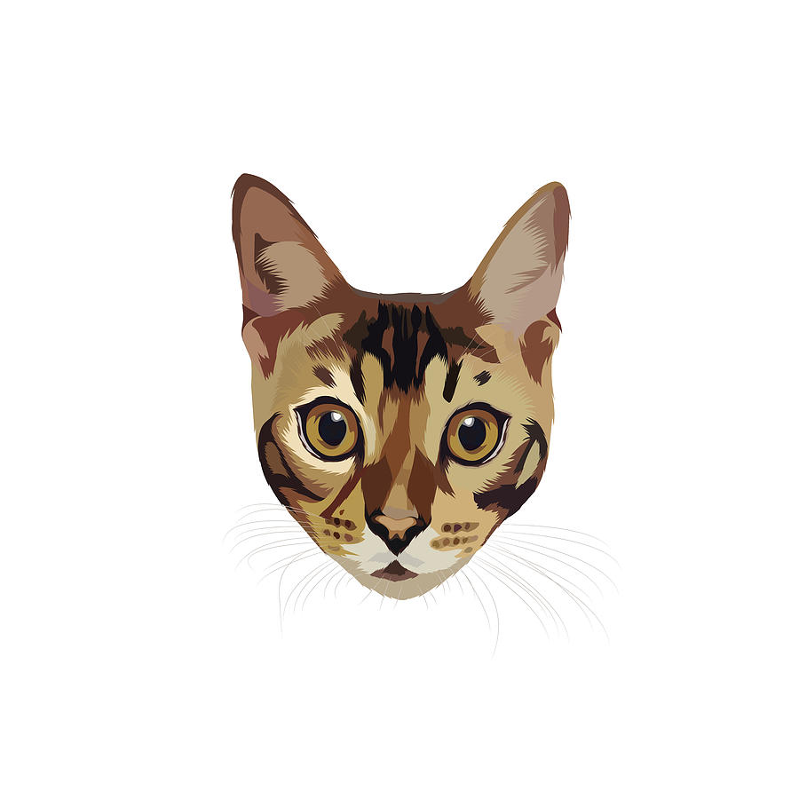 Bengal Cat Illustration Art Digital Art By The Bad Kitty Co Fine Art America 5565