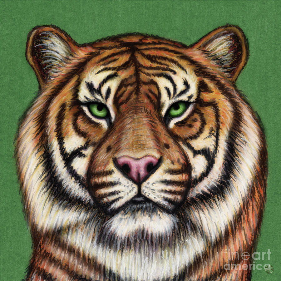 Bengal Tiger  Painting by Amy E Fraser