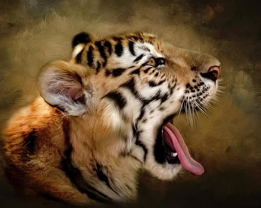 Bengal Tiger Digital Art by Maggy Pease