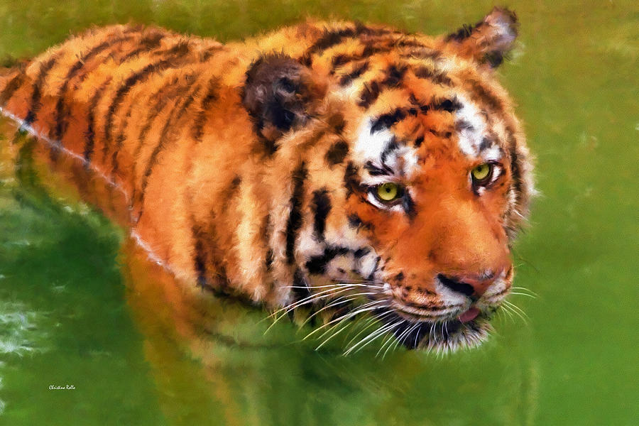 Bengal Tiger Painting Mixed Media by Christina Rollo