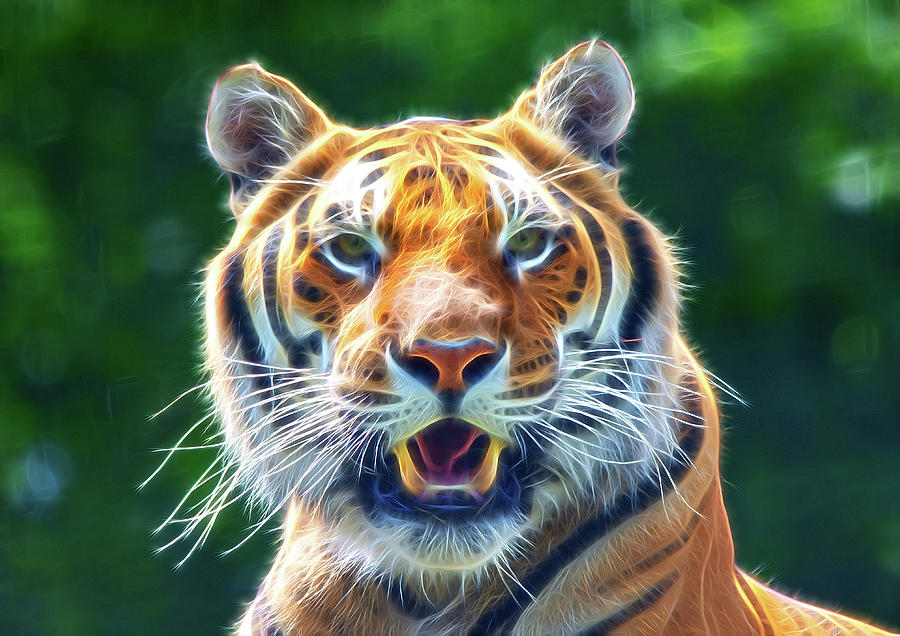 Bengal Tiger portrait in Digital Art style Digital Art by Gareth Parkes