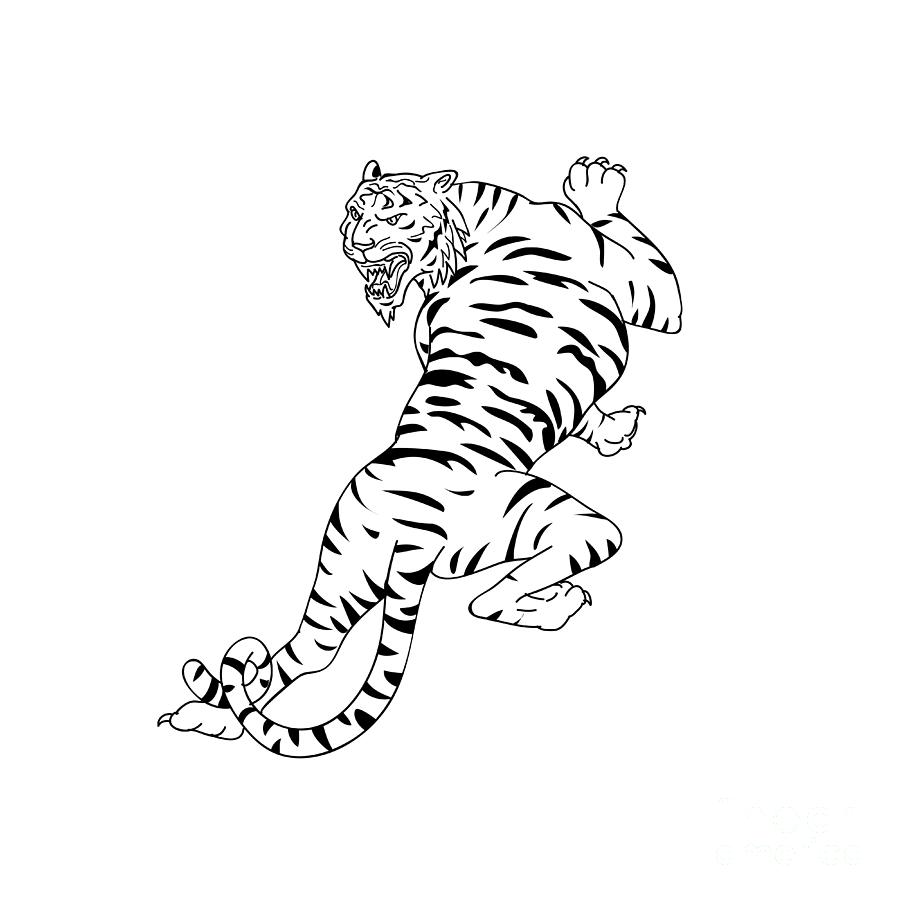 Bengal Tiger Stalking Drawing Digital Art by Aloysius Patrimonio - Pixels