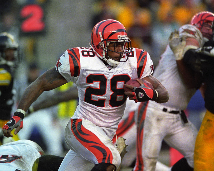 Bengals Corey Dillon Photograph by George Gojkovich