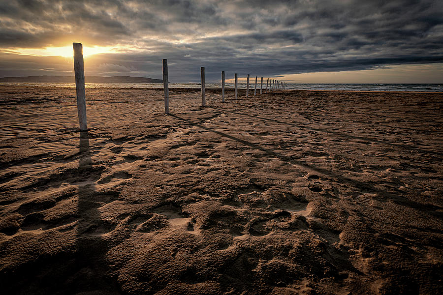 Benone Beach Posts Photograph by Nigel R Bell