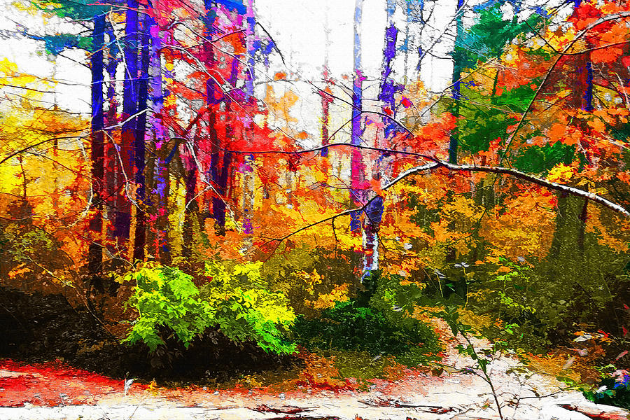 Bent Creek Autumn Digital Art by Rod Whyte