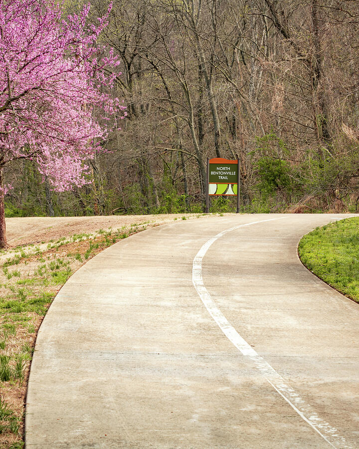 Bentonville Arkansas Trail Pathway In Spring Photograph by Gregory Ballos Bentonville Arkansas Trail Pathway In Spring Photograph by Gregory Ballos