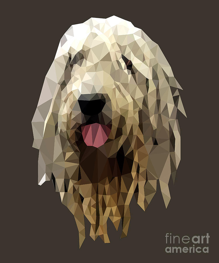 Bergamasco Sheepdog Digital Art by Jindra Noewi