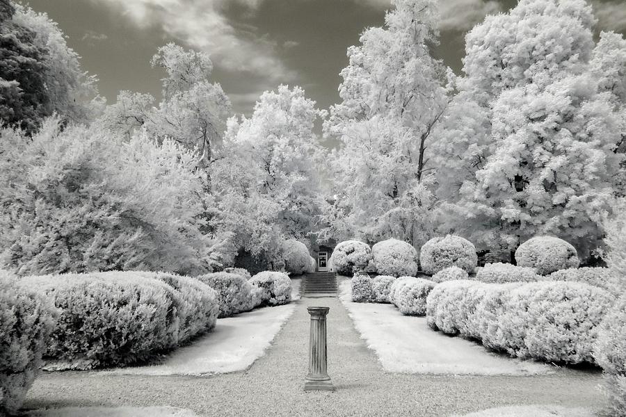 Berkeley Plantation Garden Infrared Photograph by Liza Eckardt