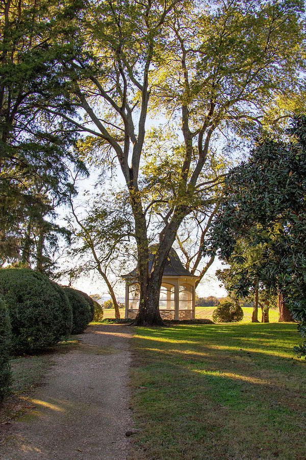 Berkeley Plantation Photograph by Jean Haynes Pixels