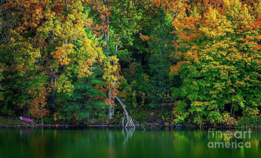 Berkshire Fall Foliage No. 1 Photograph by Craig J Satterlee