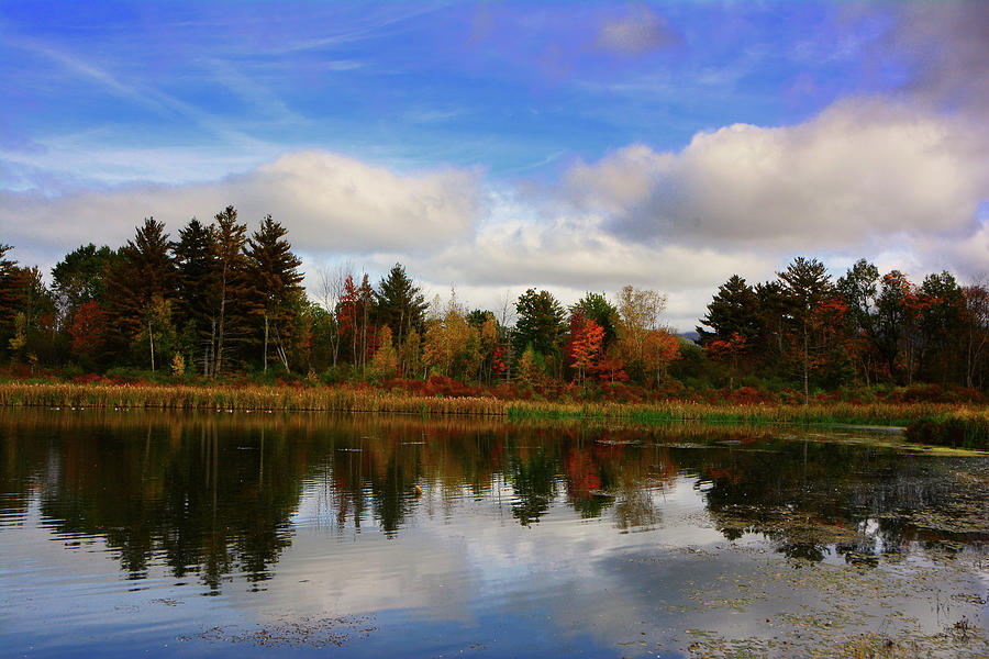 Berkshire Pond Photograph by Raymond Salani III