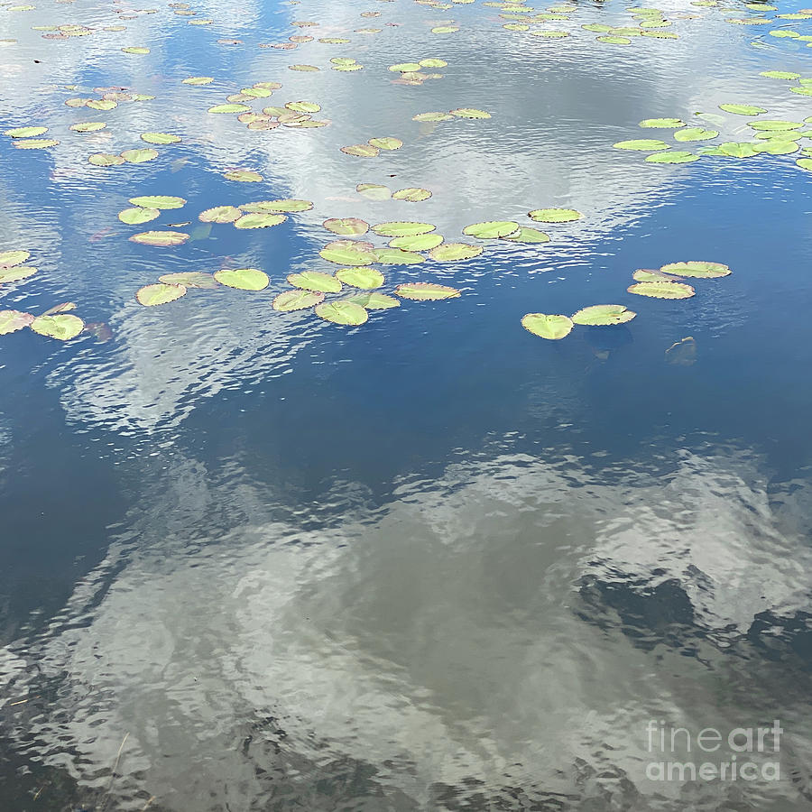 Berkshires Lily Pads 2 - Pond Lake Sky Reflection Photograph by Shany Porras Art