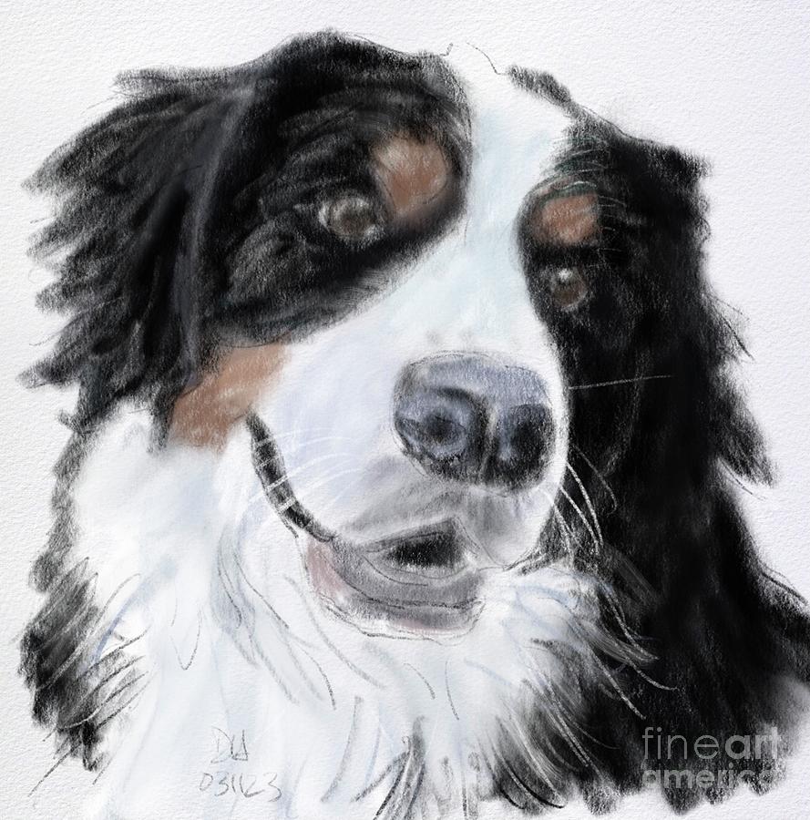 Bernese Mountain Dog Digital Art by Artwork By Donna Fine Art America