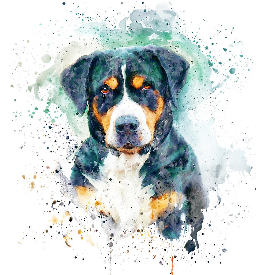 Bernese Mountain Dog  Painting by Marian Voicu