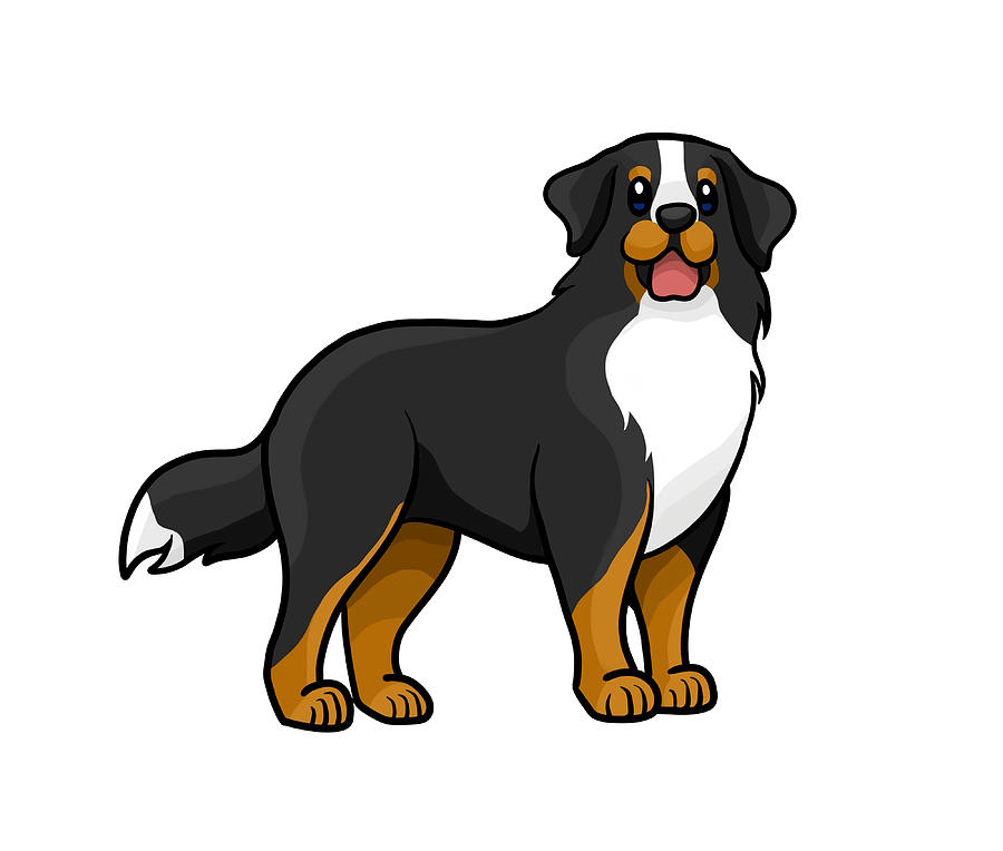 Bernese Mountain Dog Poster red Painting by Tina Maisie | Pixels