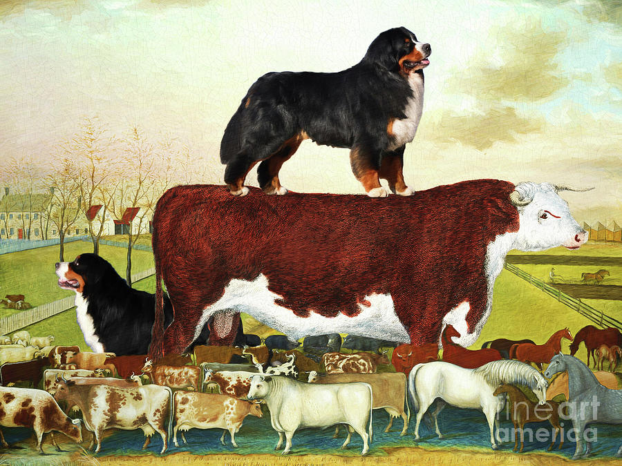 Bernese Mountain Dog The Cornell Farm Painting