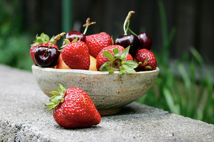 Berries in the bowl Photograph by Masha Batkova