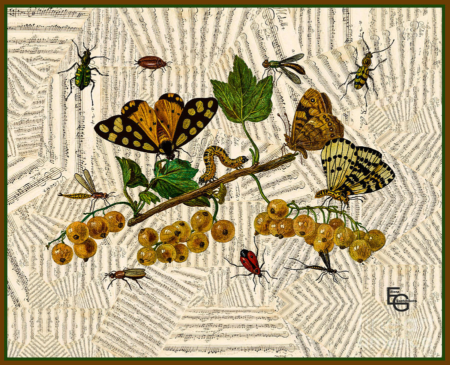 Berries, leaves, butterflies, beetles against the background of a collage sheet music score Mixed Media by Elena Gantchikova