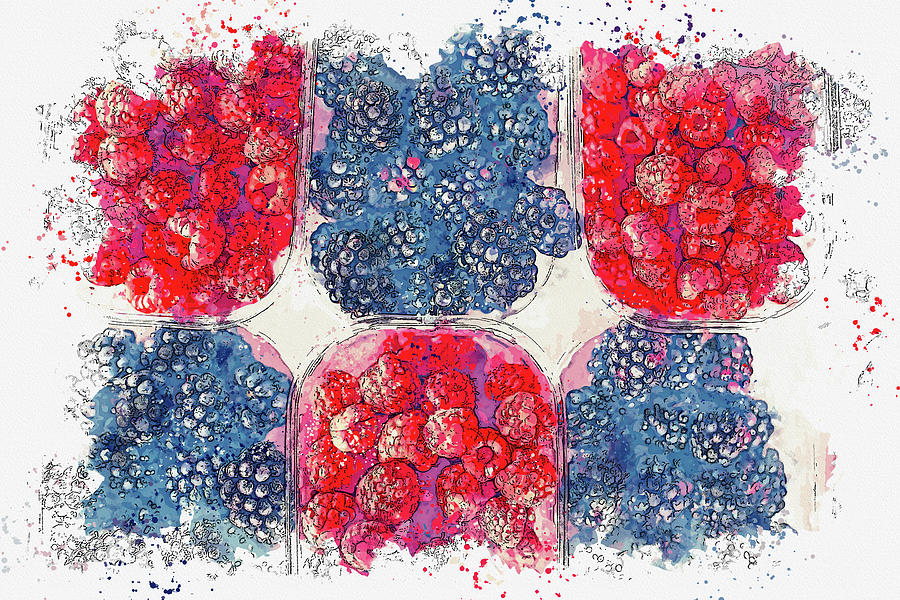 Berries, watercolor, ca 2020 by Ahmet Asar Digital Art by Celestial Images