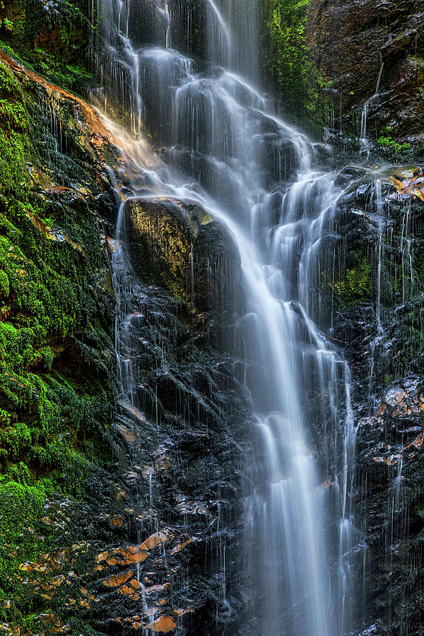 Berry Creek Falls Photograph By Brian Catania Fine Art America 0433