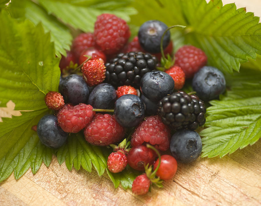 berry fruits - Walderdbeeren Photograph by Wakila