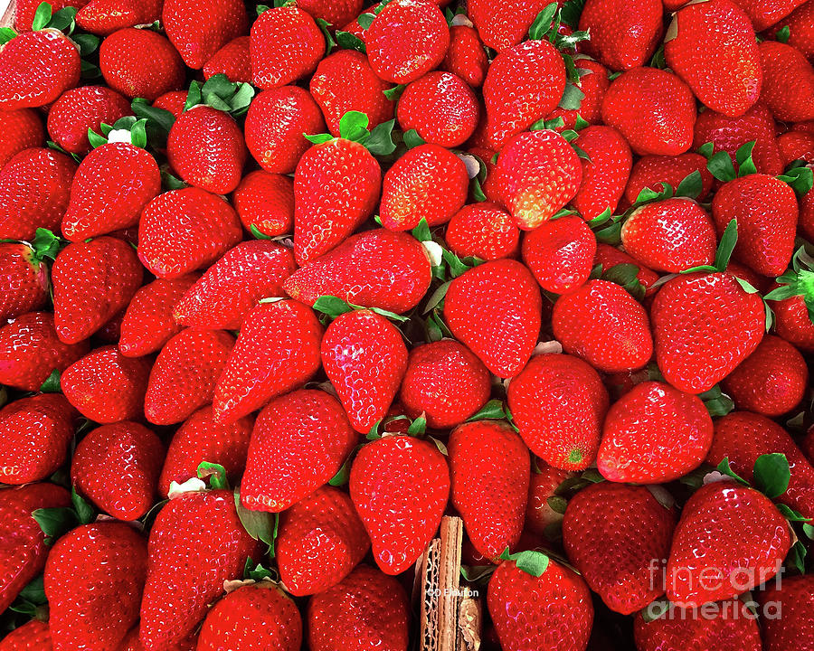 Berry Time Digital Art by Dee Flouton
