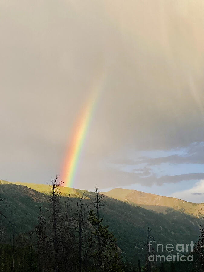 Mountain Photograph - Berthoud Pass Rainbow by Saving Memories By Making Memories