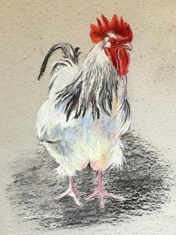 Rooster Drawing - Bertie Wooster by Lynda Robinson