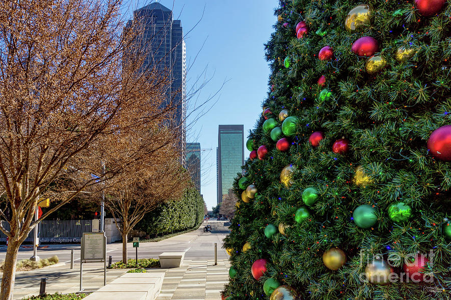 Beside The Dallas Christmas Tree Photograph by Jennifer White