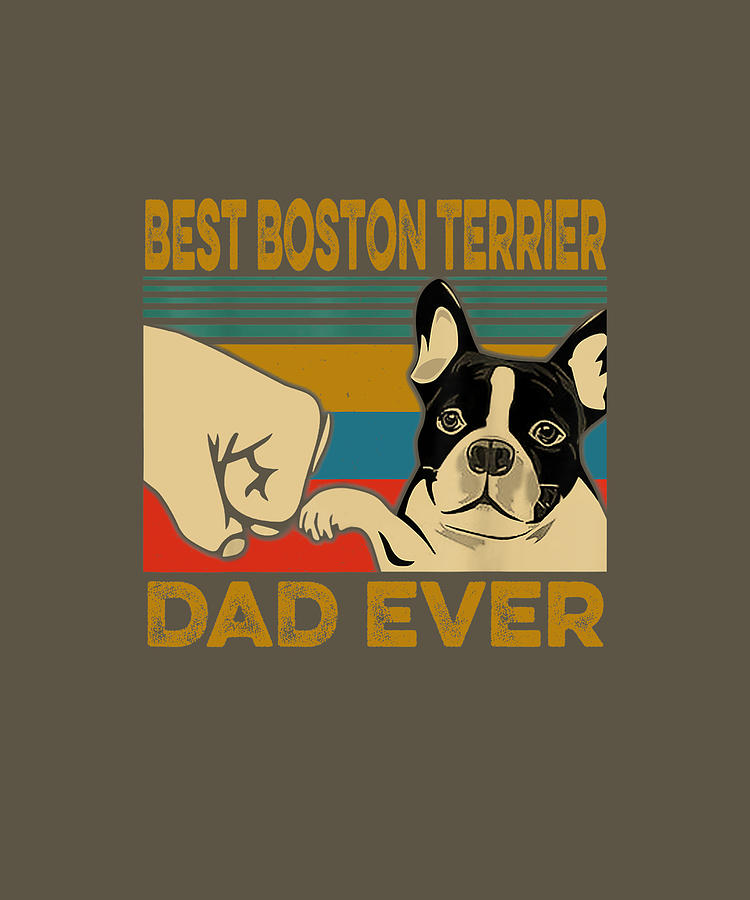 boston terrier dad shirt