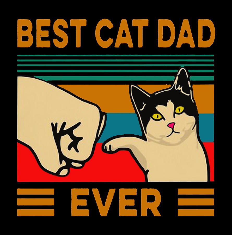 Dad cat 2