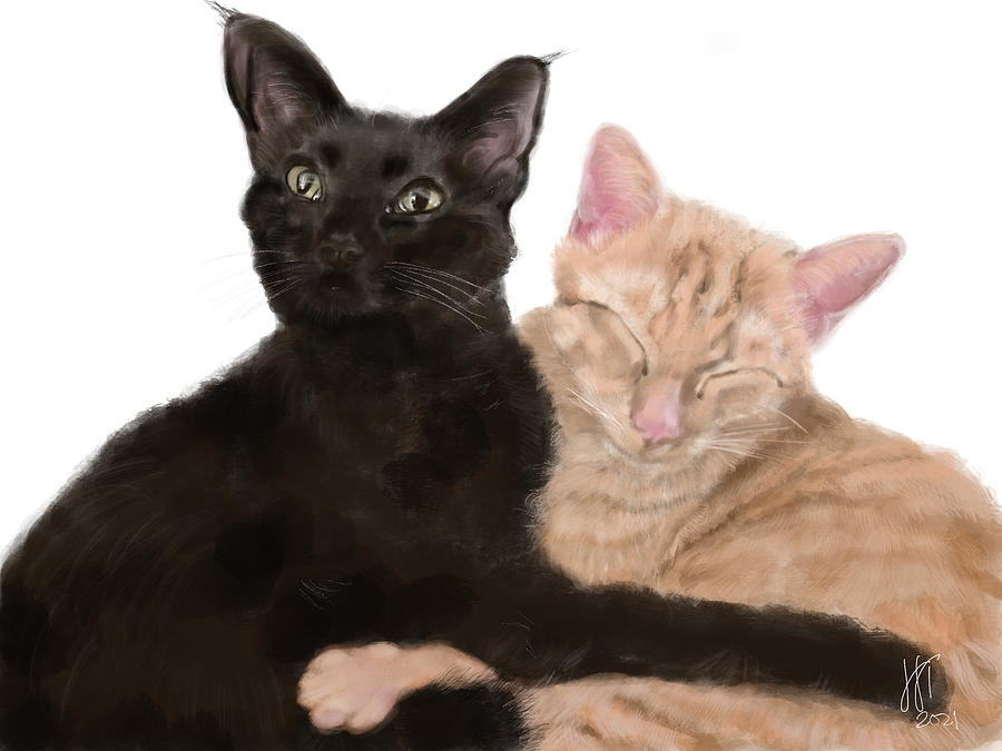Best Friends Black and Orange Kitties Digital Art by Lois Ivancin Tavaf