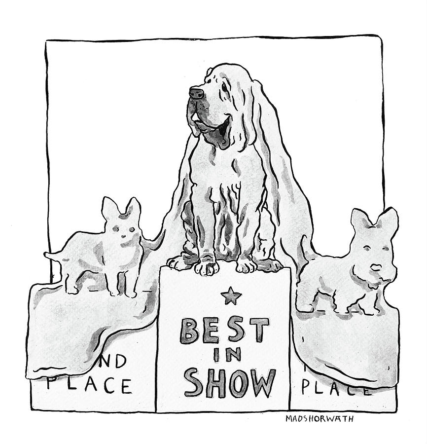 Best In Show Drawing by Madeline Horwath
