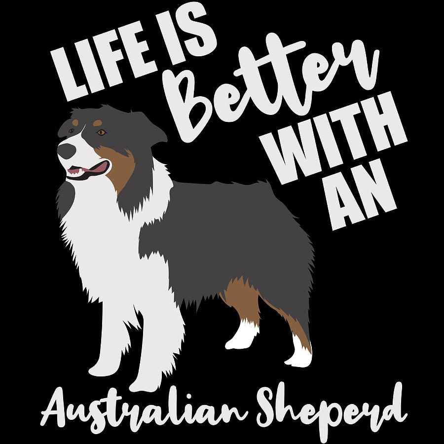Tevo t-shirt chiens Evolution australian shepherd Aussie walk siviwonder